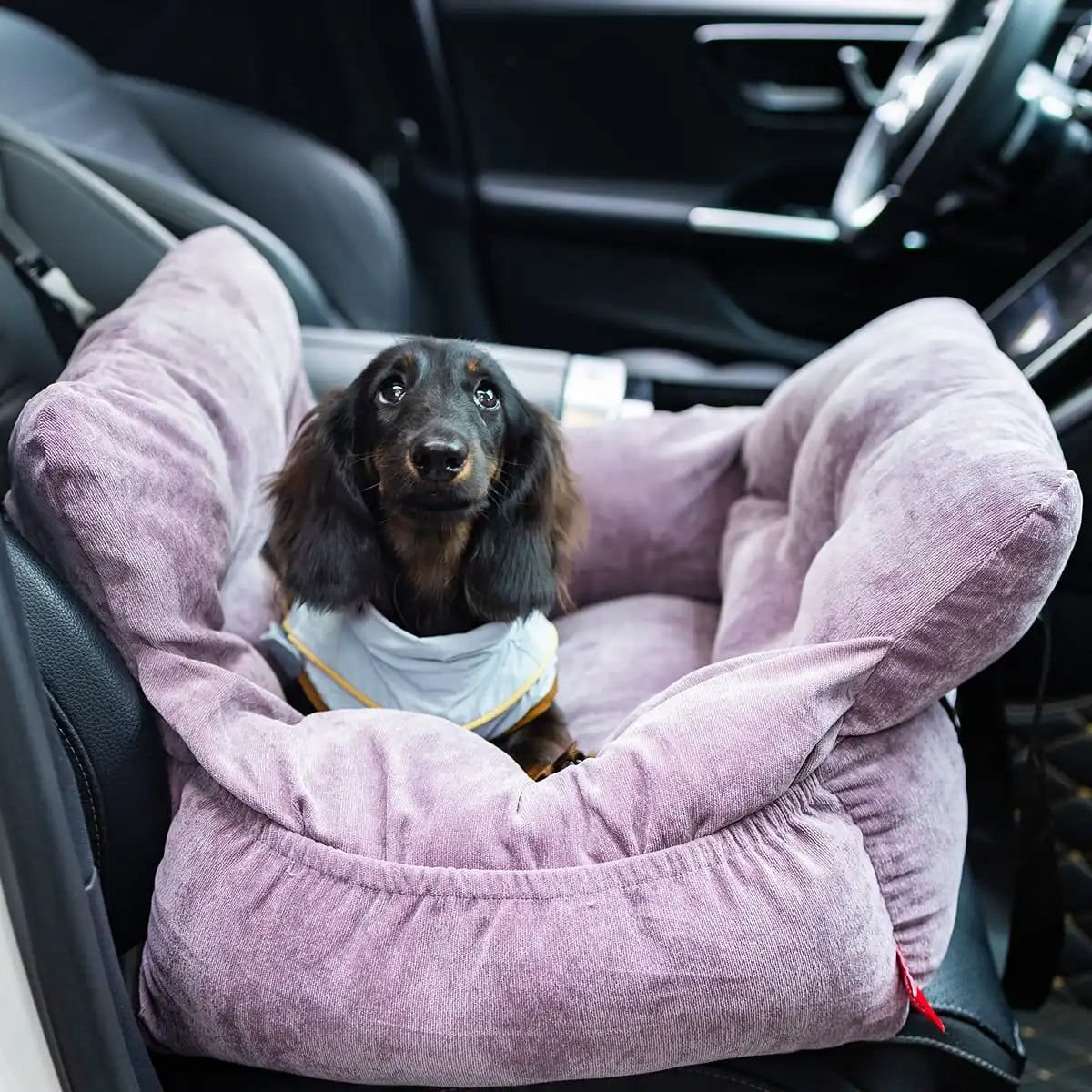Travel Dog Booster Seat for Small Medium Dogs Cats