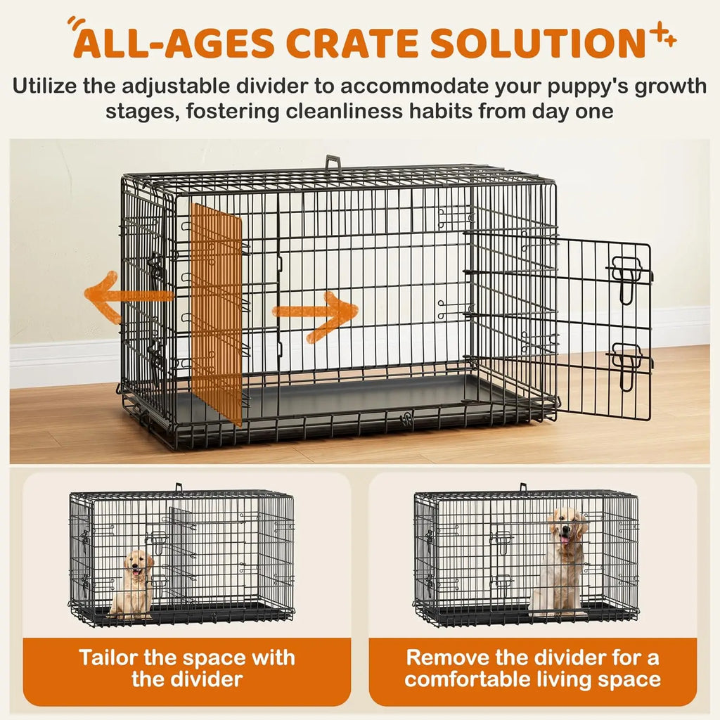 42-Inch Double Door Collapsible Dog Crate